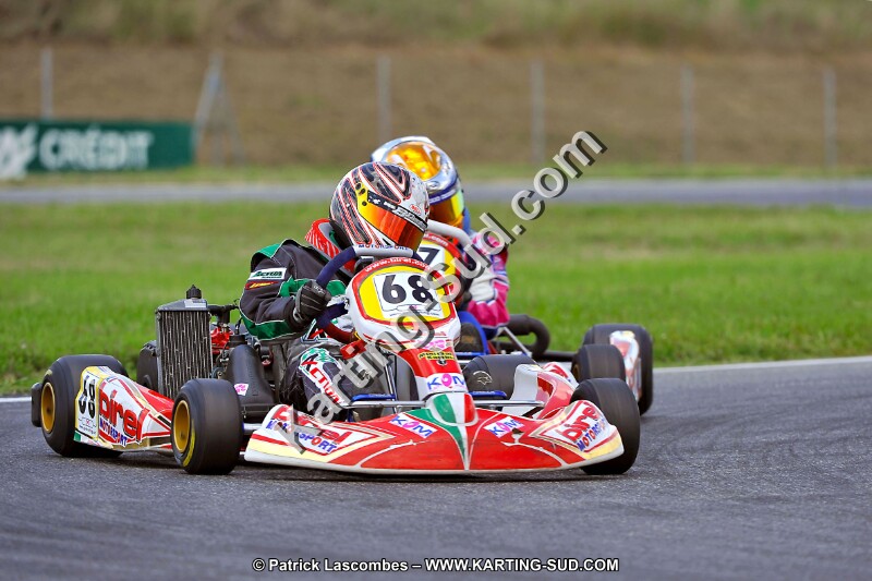 DSC_ (274).jpg